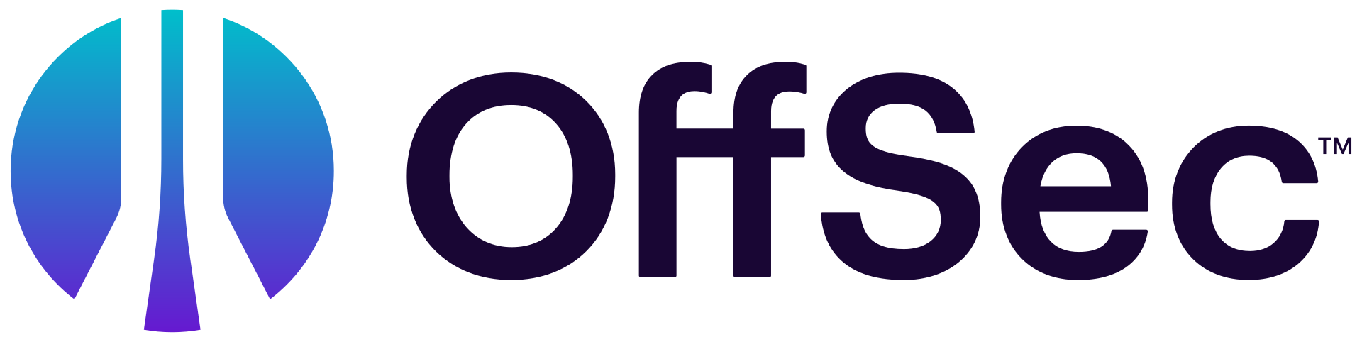 Offensive Security